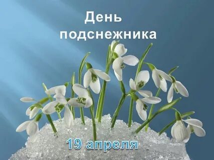 «Первый весенний цветок».